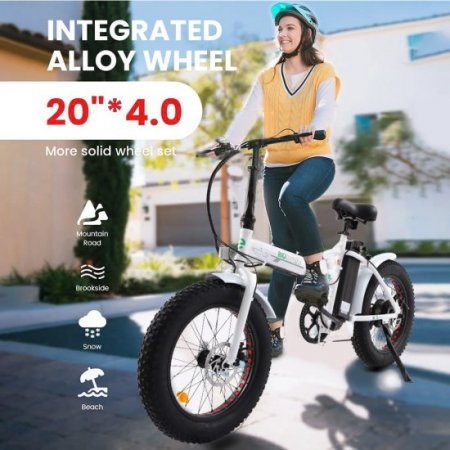 Folding 20" Fat Tire Electric Bike 500W Hill Bicycle Removable Battery Pedal Assist Power